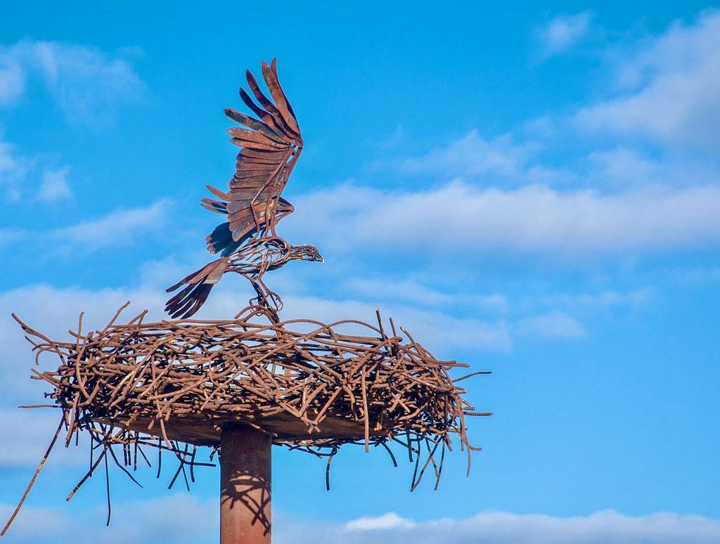 Nesting Osprey by Me in ME is licensed under CC BY 2.0.